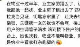 潜规则全书 吃瓜网,揭秘职场生存法则与人际交往秘密