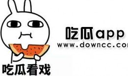 吃瓜视频在线观看 黑料是什么,在线观看黑料背后的真相